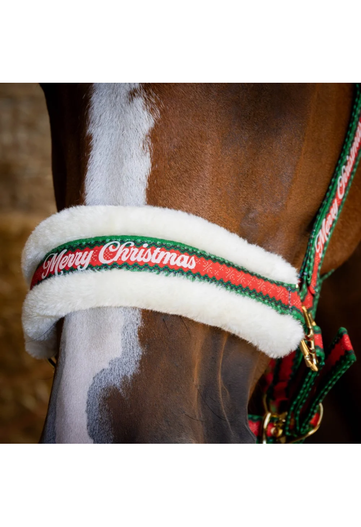 cavezza+lunghina+cuffiette HH Christmas