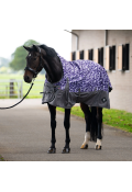 viola in grata/grigio