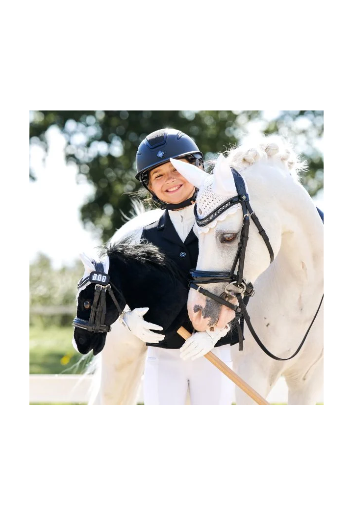 Cavallo su IRHGrand Prix HobbyHorse