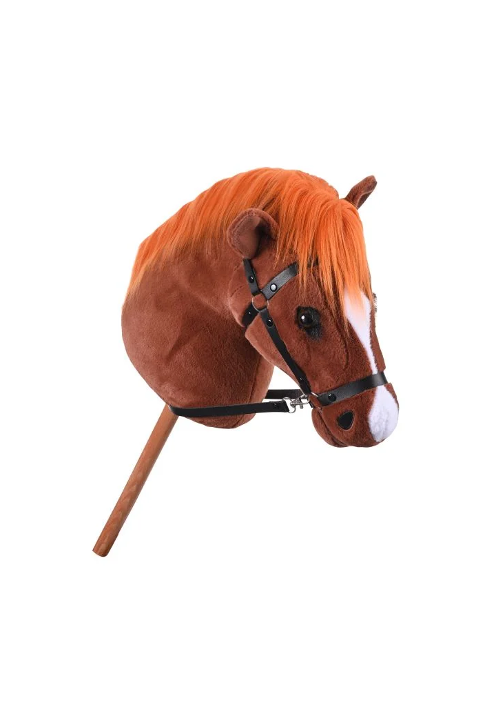 Cavallo su IRHGrand Prix HobbyHorse