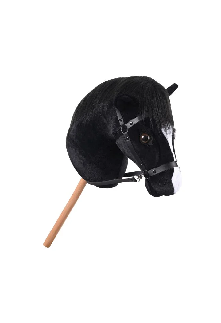 Cavallo su IRHGrand Prix HobbyHorse