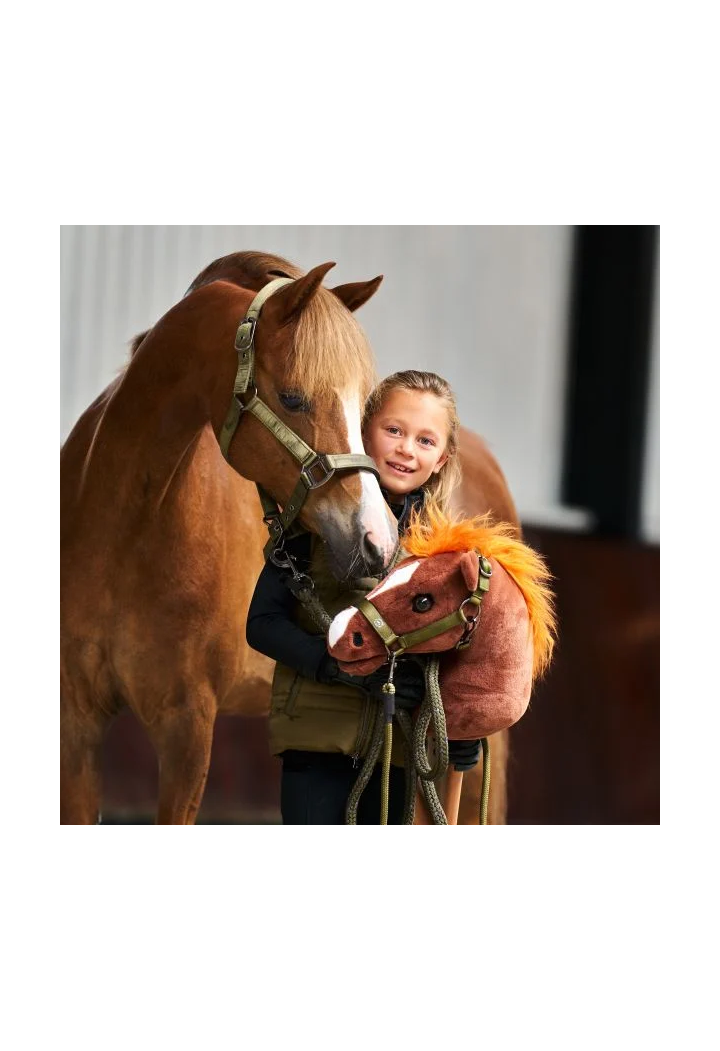 Cavallo su IRHGrand Prix HobbyHorse