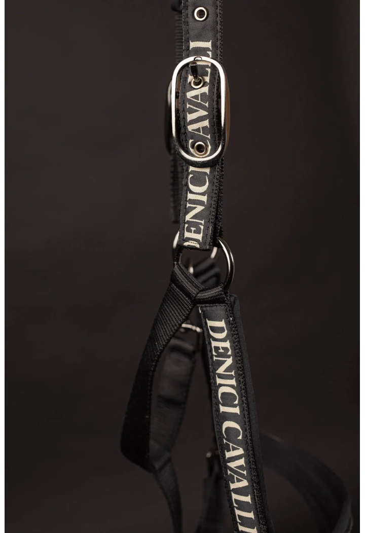 Cavezza+Lunghina HH DenisCavalliStardust AW25