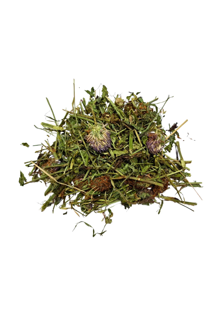 Clover rosso SAMFARM 1kg