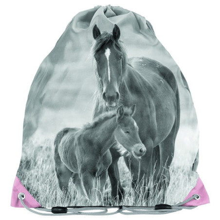 Sacca portascarpe PASO Horse 34x39