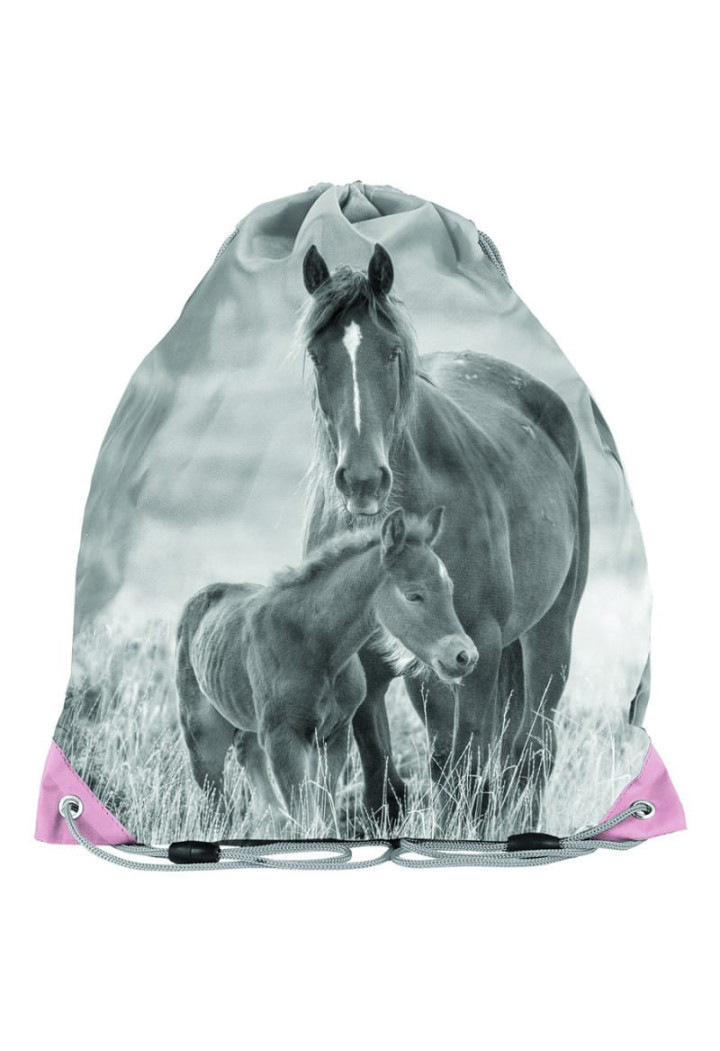 Sacca portascarpe PASO Horse 34x39