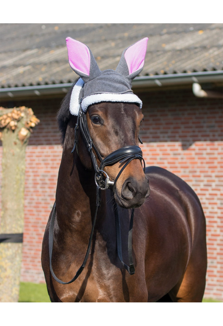 Cuffiette QHP Pasqua