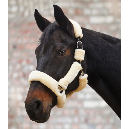 Cavezza WALDHAUSEN Cozy