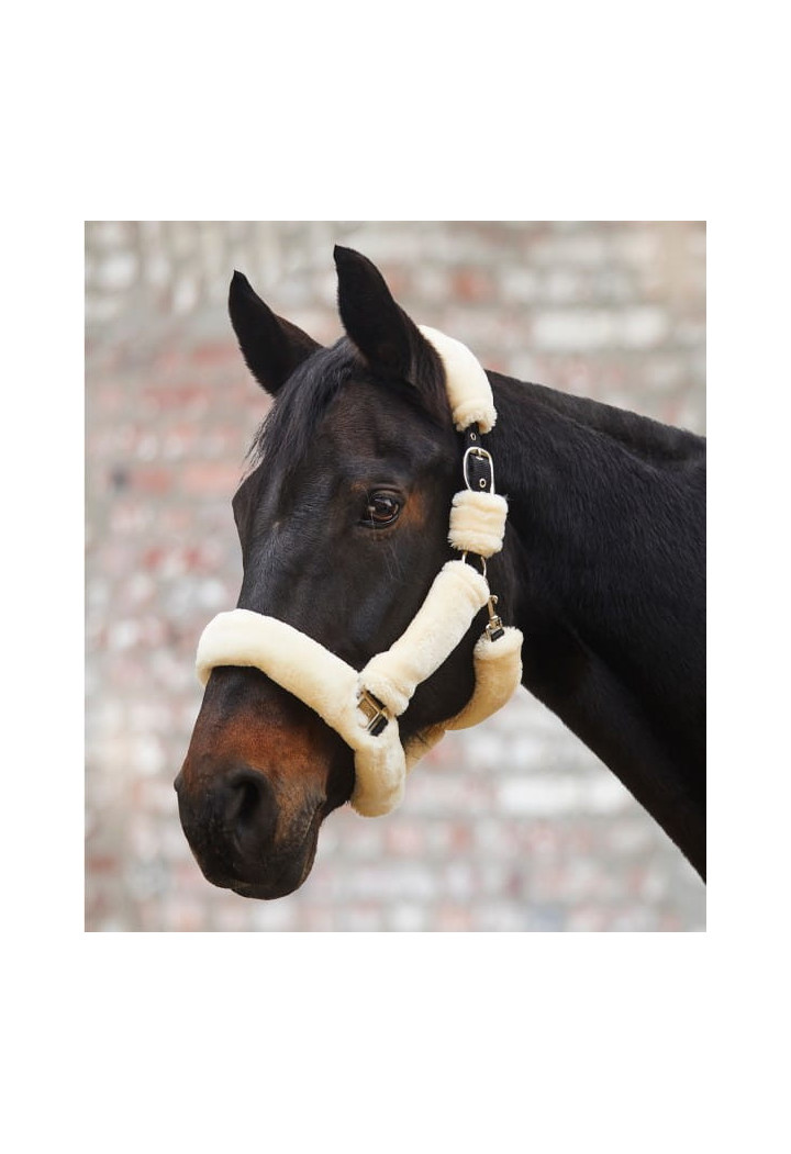 Cavezza WALDHAUSEN Cozy