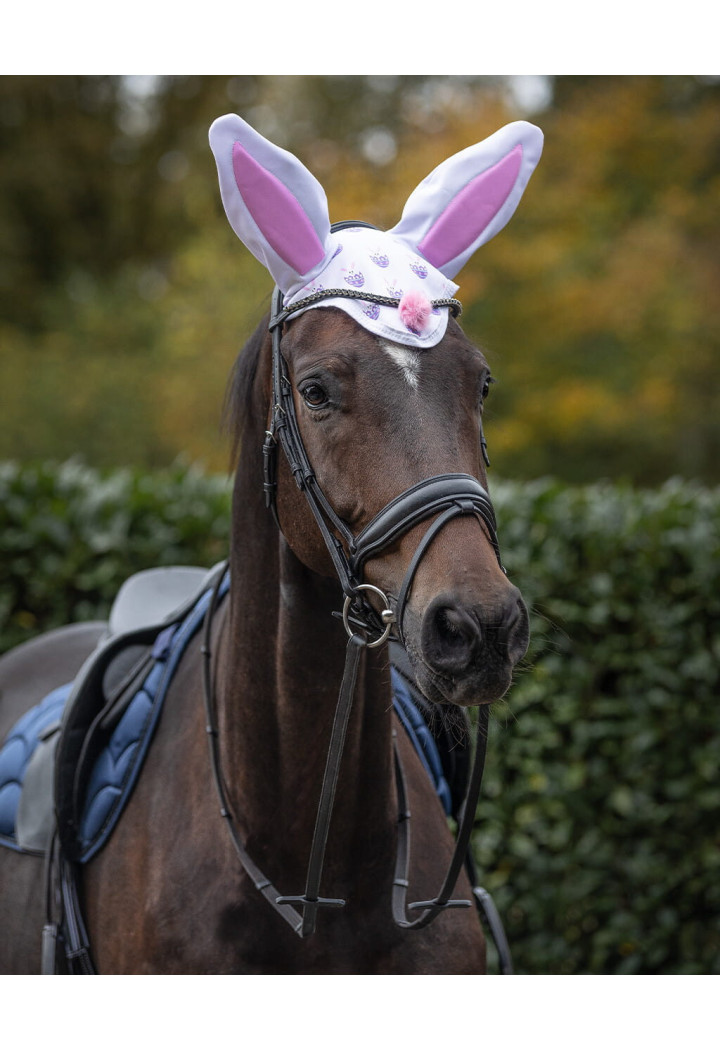 Coniglietto di Pasqua Cuffiette QHP