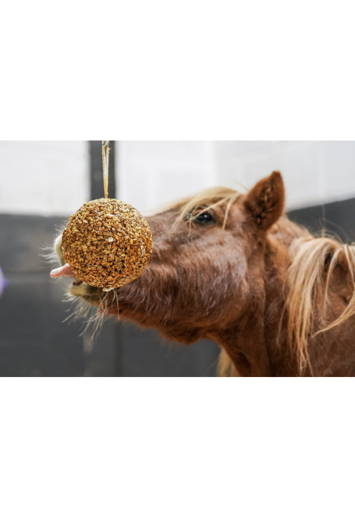 Blocco da leccare LIKIT Granola Stall Ball ginger.br 1,6kg