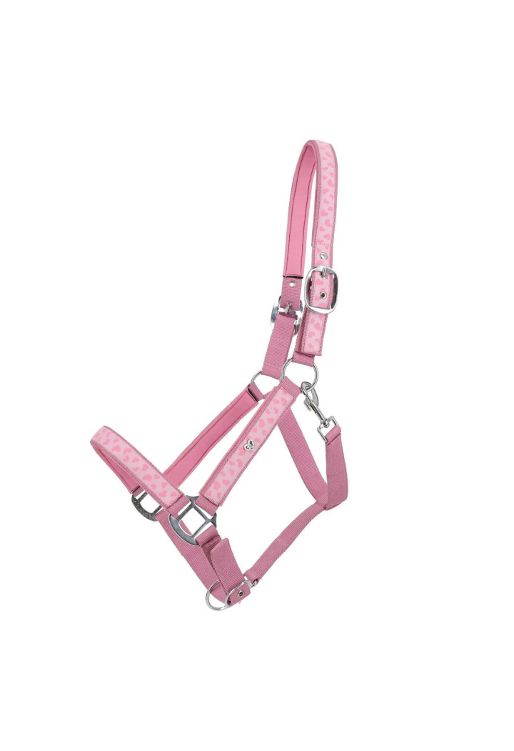 Cavezza QHP Lyvia