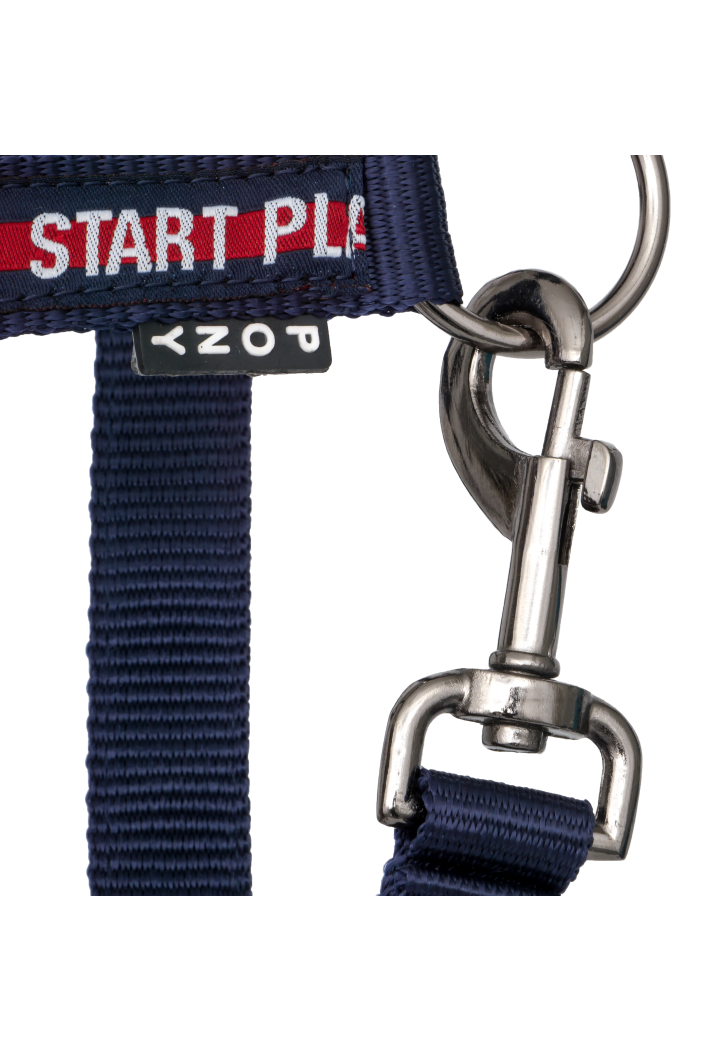 Cavezza START StartPlay