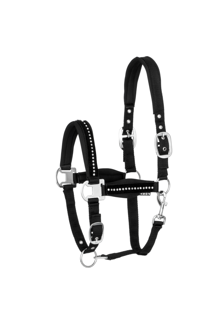 Cavezza START PremiumDiamonds