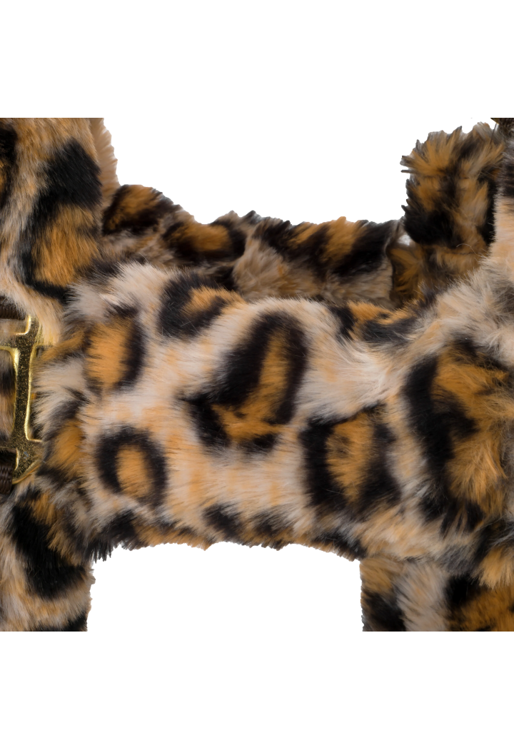 Cavezza START TeddyLeopard