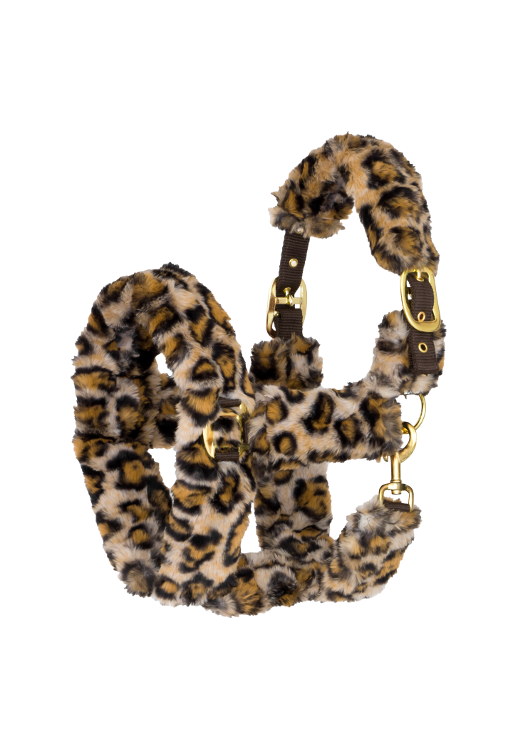 Cavezza START TeddyLeopard