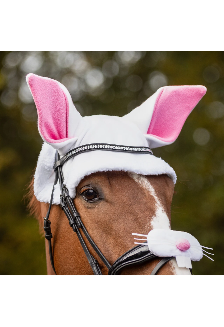 Cuffiette QHP Pasqua