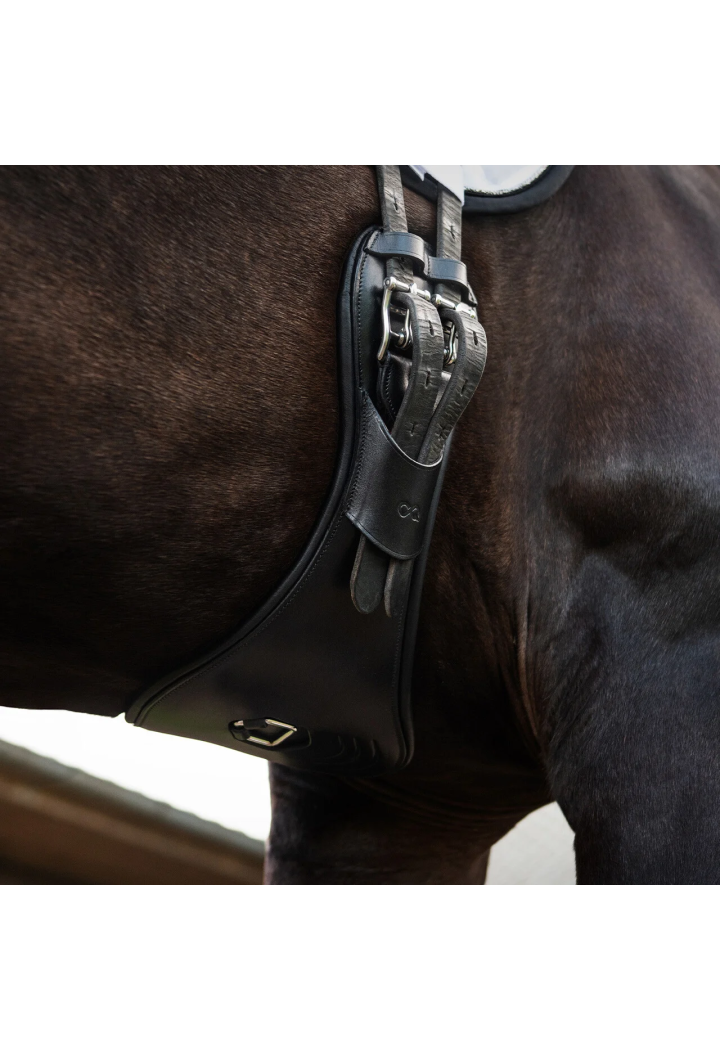 Sottopancia Dressage anatomico PresTEQ Perform Free