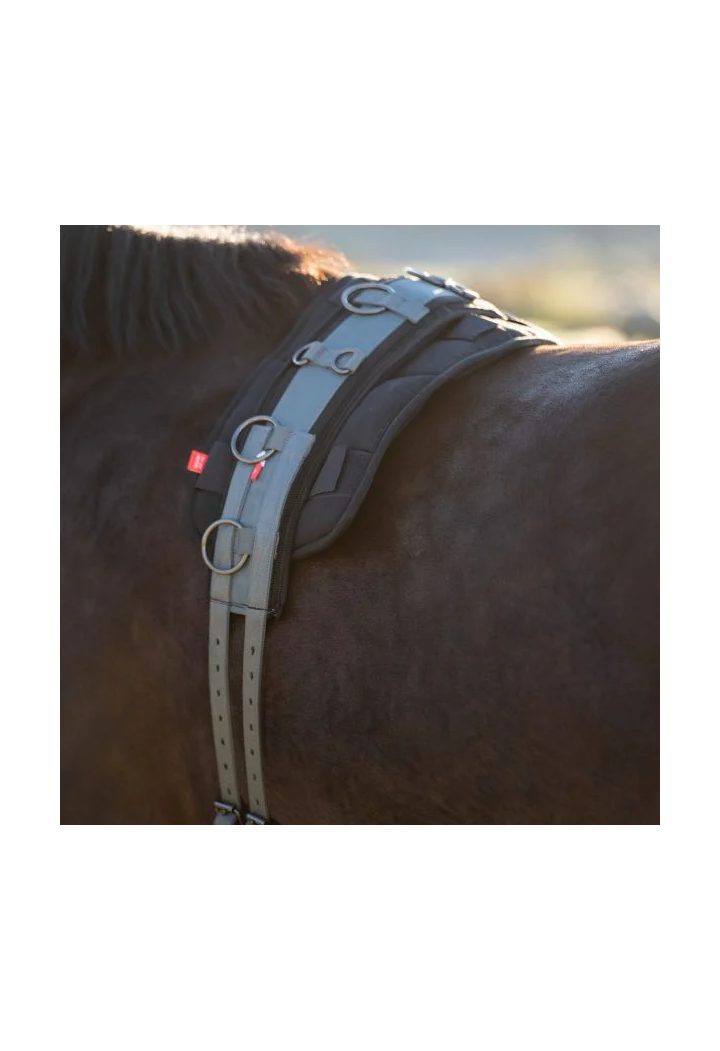 Cintura di avanzamento Imperial Riding Deluxe Extra