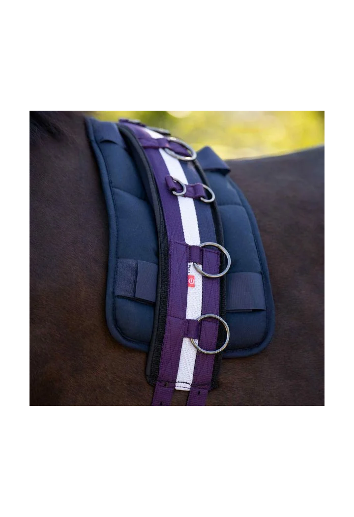Cintura di avanzamento Imperial Riding Deluxe Extra