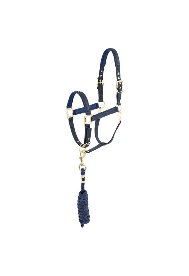 Cavezza ed lunghina ANKY Halter e Lead 25 SS