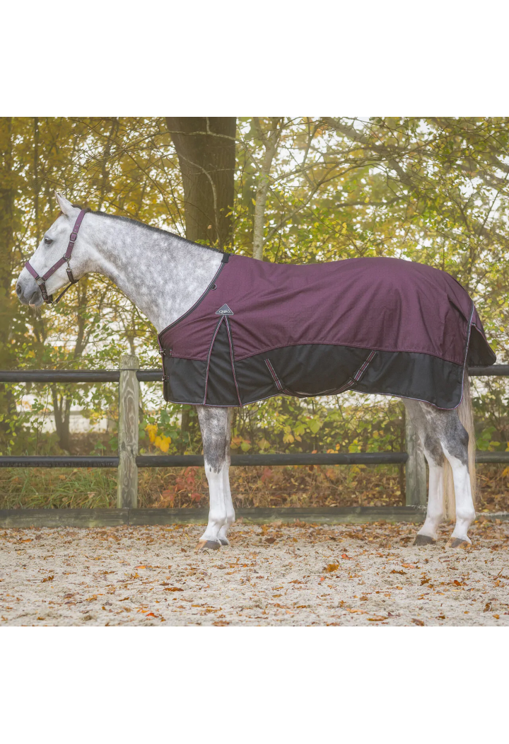Coperta da paddock QHP Collection 25AW 50gr