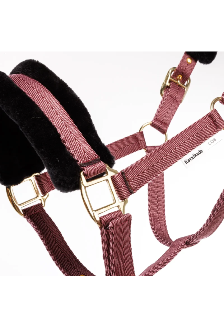 Cavezza KAVALKADE Gretchen Faux Fur