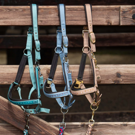 Cavezza lunghina Harry's Horse Crystal 26