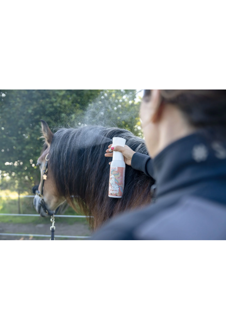 Condizionatore per capelli Bense&Eicke Natural Mane Magic 500ml