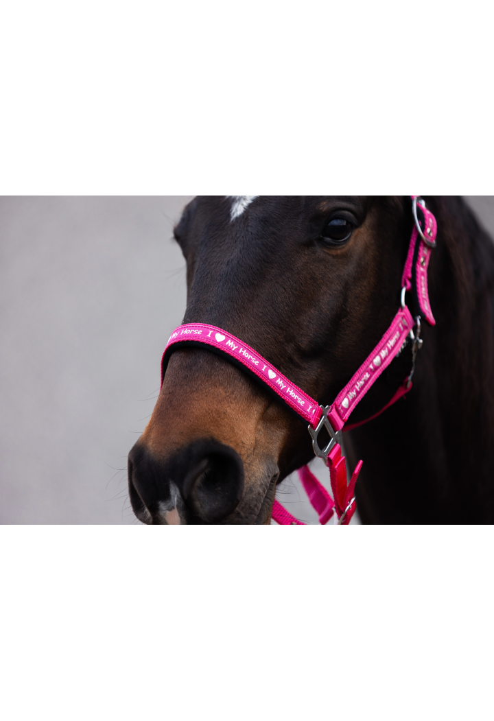 Cavezza START ILoveMyHorse