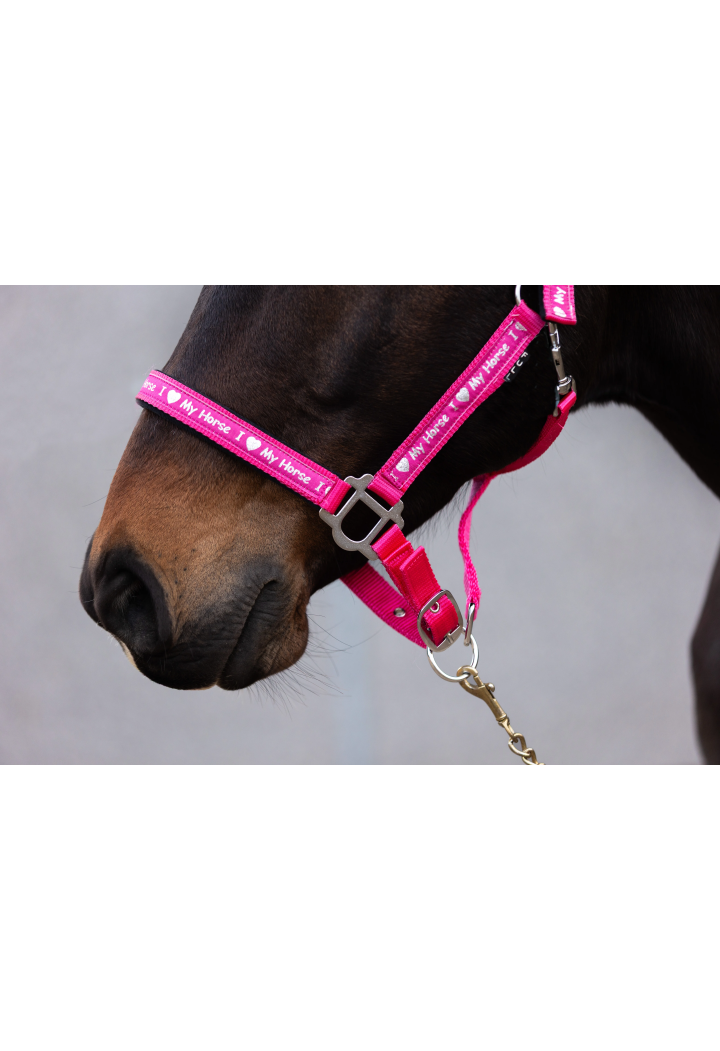 Cavezza START ILoveMyHorse