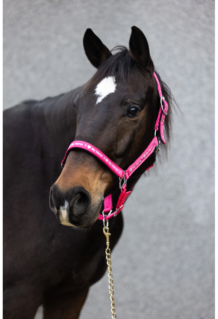 Cavezza START ILoveMyHorse