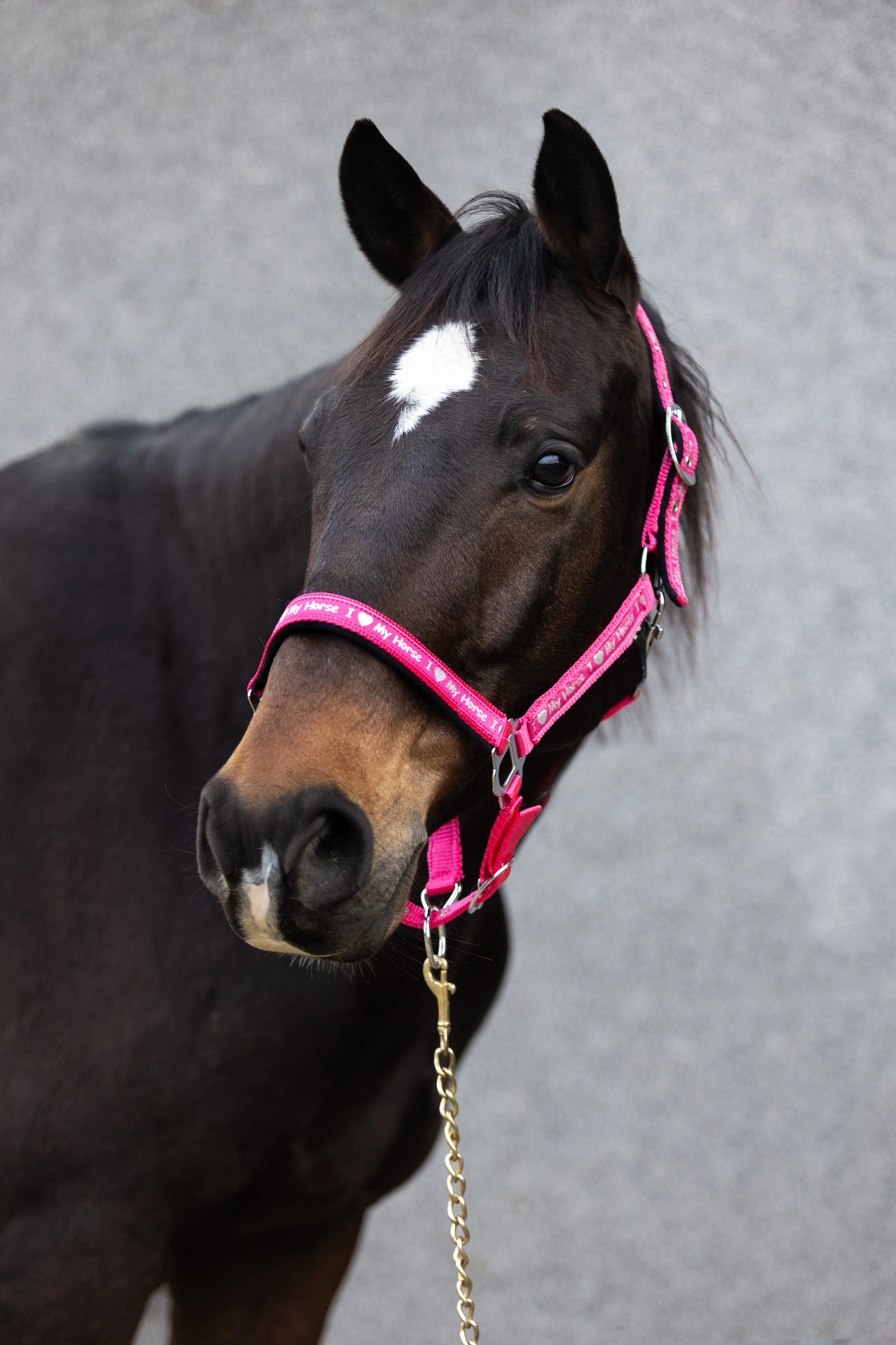 Cavezza START ILoveMyHorse