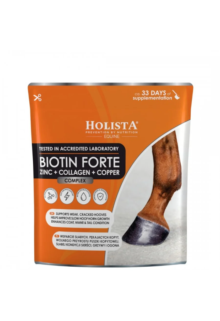 Biotina Forte HOLISTA 500g