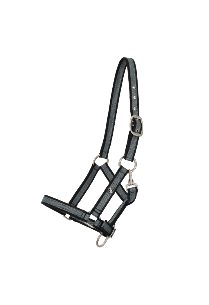Cavezza foals Collezione QHP Primavera/Estate 2026