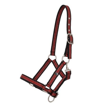 Cavezza foals Collezione QHP Primavera/Estate 2026