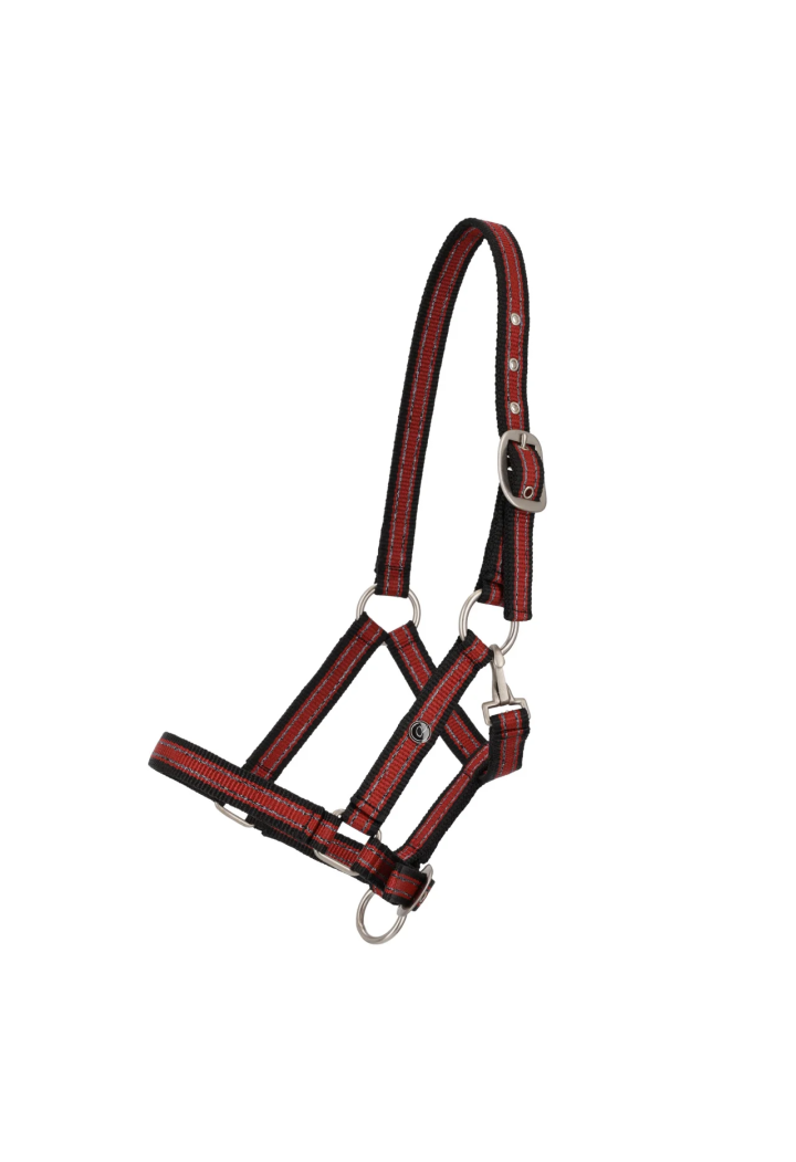Cavezza foals Collezione QHP Primavera/Estate 2026