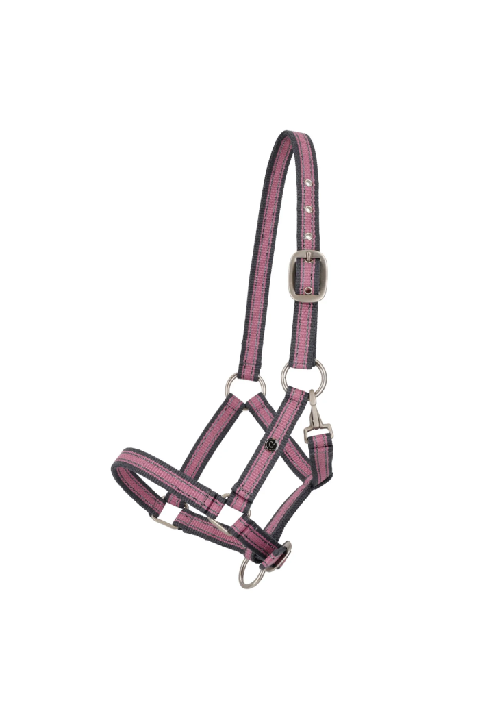 Cavezza foals Collezione QHP Primavera/Estate 2026