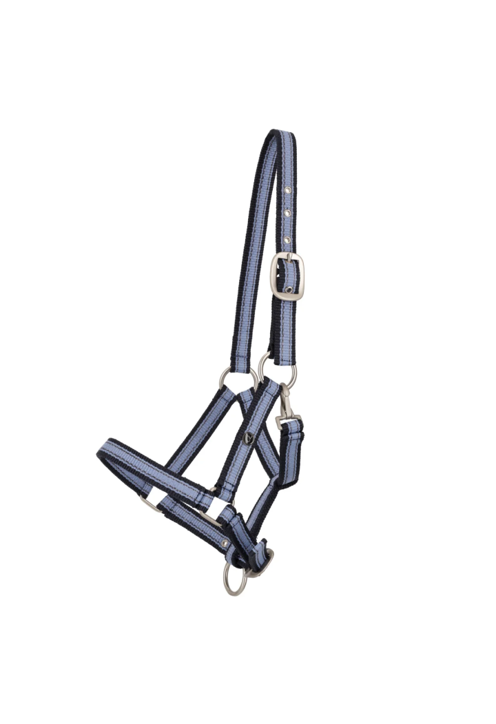Cavezza foals Collezione QHP Primavera/Estate 2026