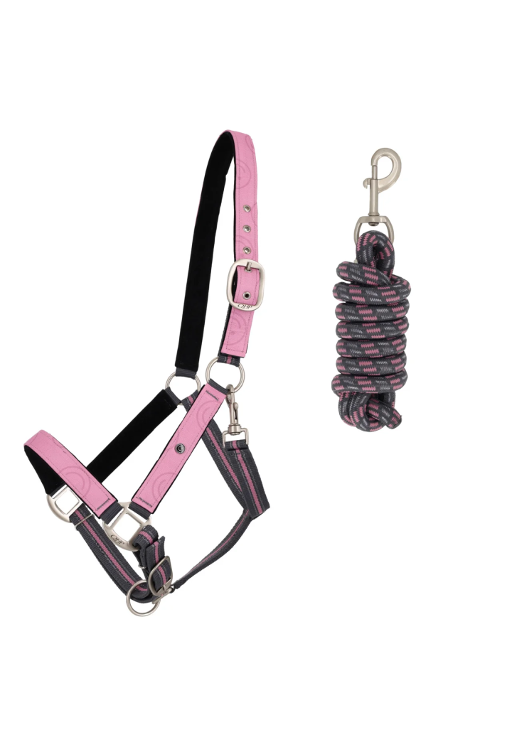 Cavezza con lunghina Collezione QHP Primavera/Estate 2026