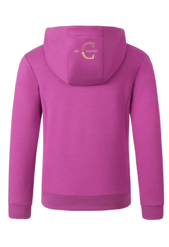 Felpa con cappuccio COVALLIERO primavera/estate 2026 giovane