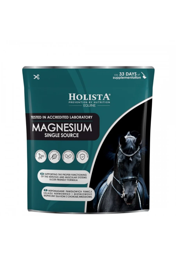 HOLISTA Magnesium Single Source 800g Supplemento
