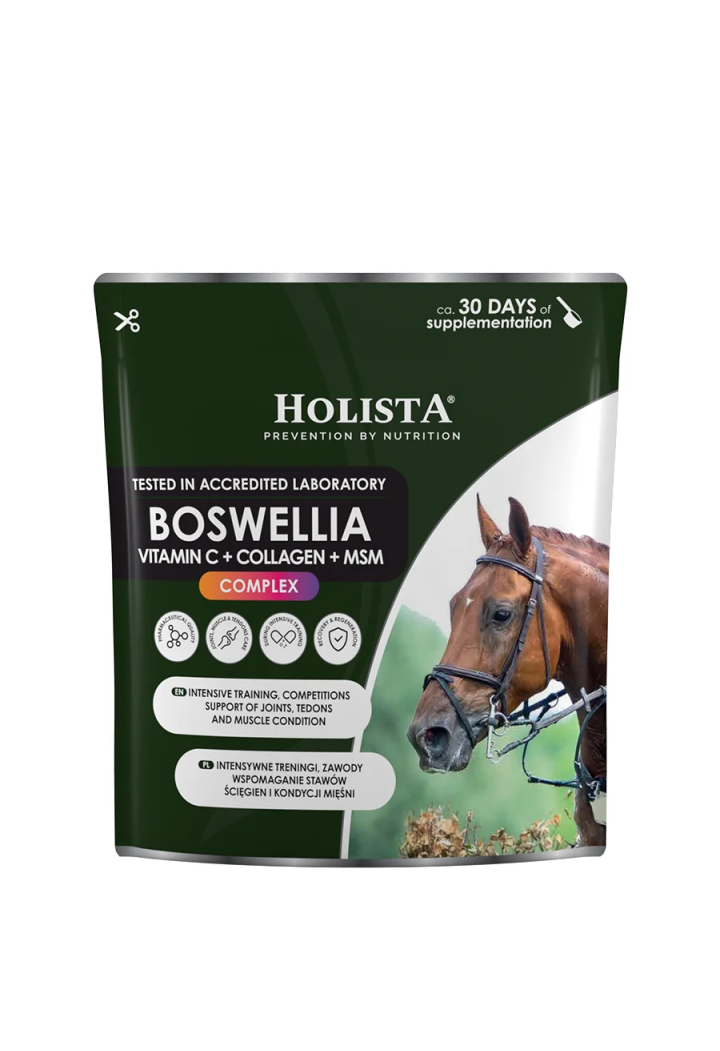 Supplemento HOLISTA Boswellia Serrata Complex 500g