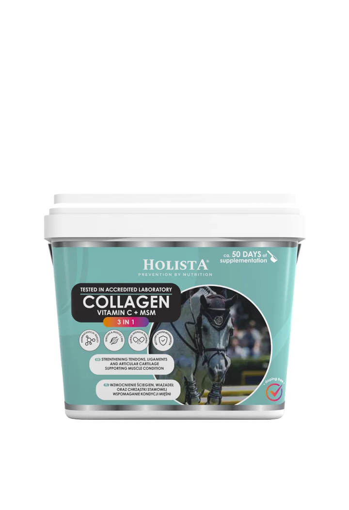 Collagene HOLISTA Collagen 3 in 1 800g Supplemento