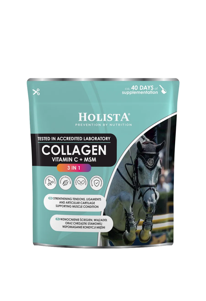 Collagene HOLISTA Collagen 3 in 1 600g Supplemento