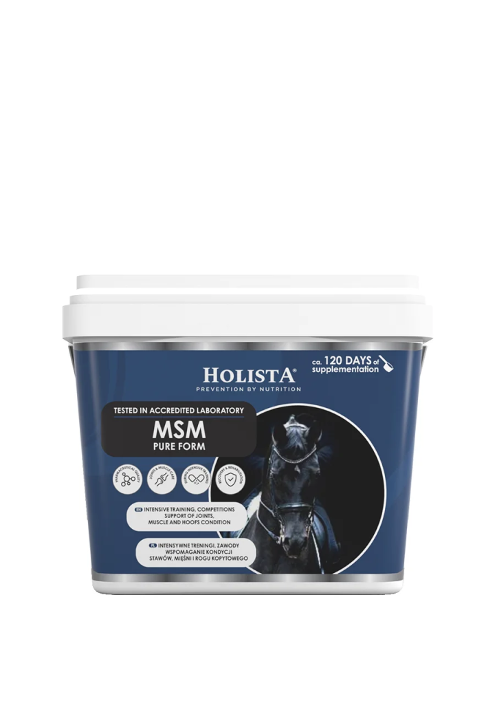 HOLISTA MSM Pure 900g Supplemento