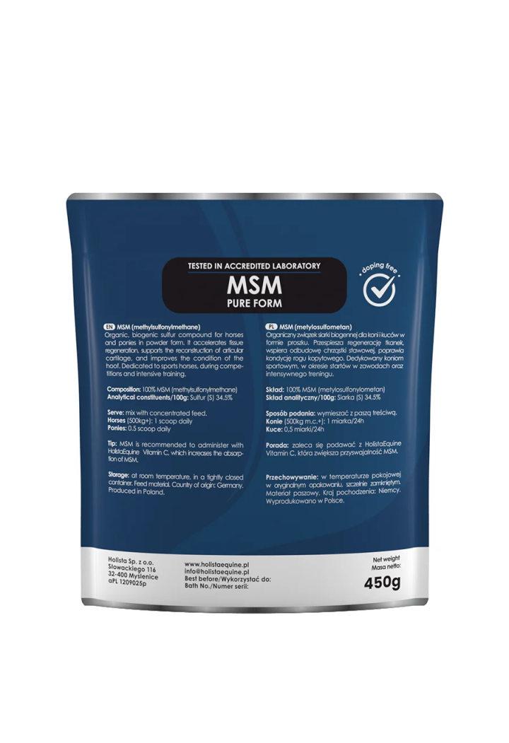 HOLISTA MSM Pure 450g Supplemento