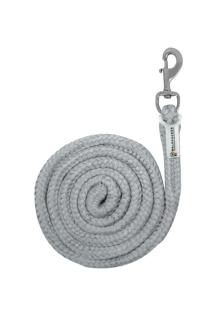 Lunghina WALDHAUSEN Economic 26 SS