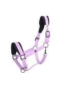 Viola