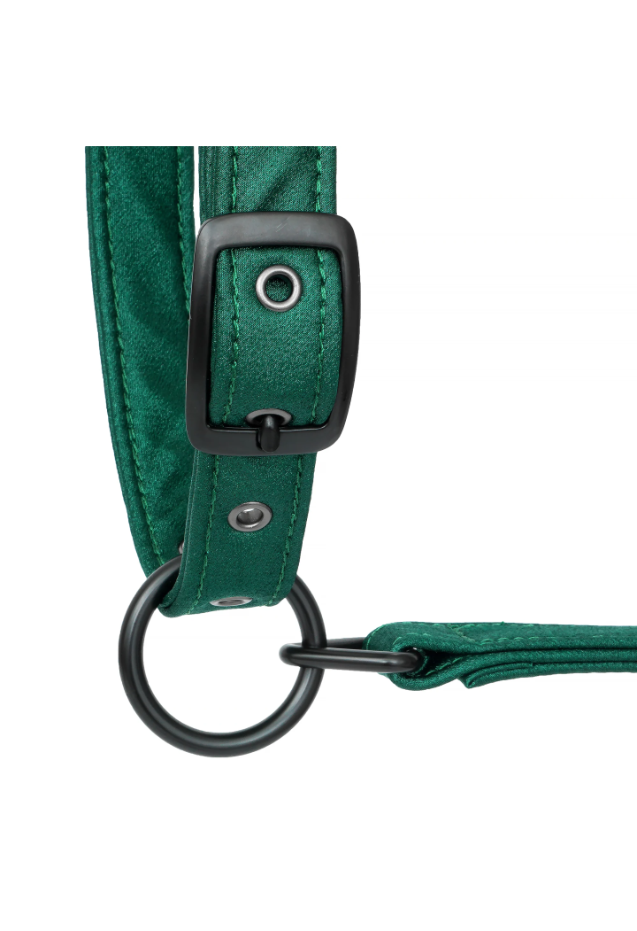 Cavezza EQUESTRIAN QUEEN Stuttgart 26